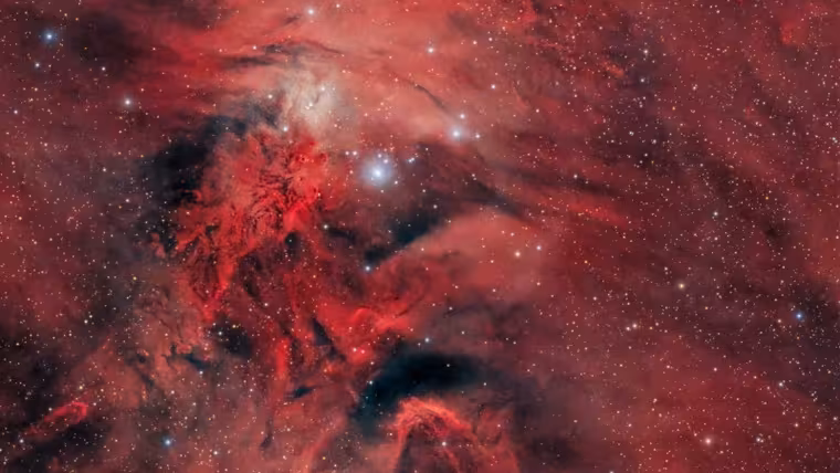NGC 2264 spojuje Vánoční stromek, Kužel a Liščí kožich