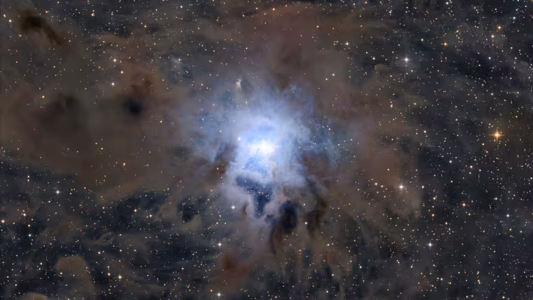 Kosatcová mlhovina NGC 7023 září odraženým světlem