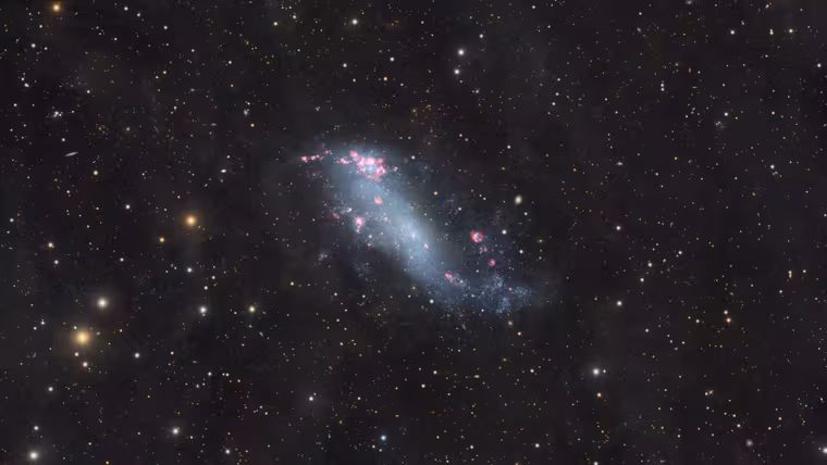 Coddingtonova mlhovina IC 2574 je ve skutečnosti galaxií