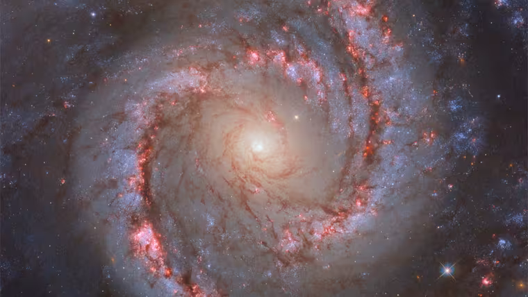 Galaxie Španělská tanečnice NGC 1566 rozevřela spirální ramena