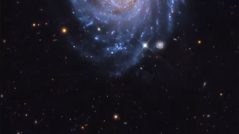 Snímek NGC 3660 zachytil i neobvyklou Burçininu galaxii