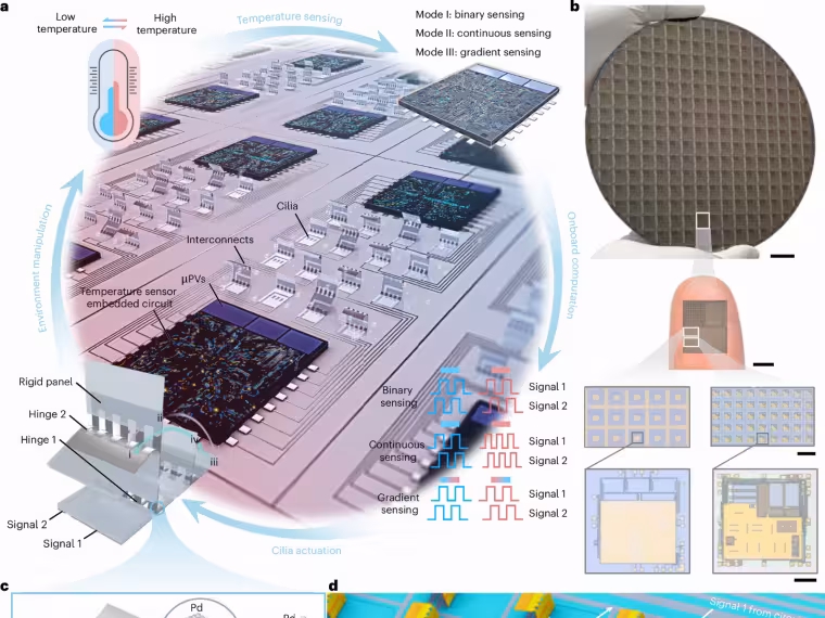 Mikroskopičtí roboti mění proudění kapaliny podle teploty