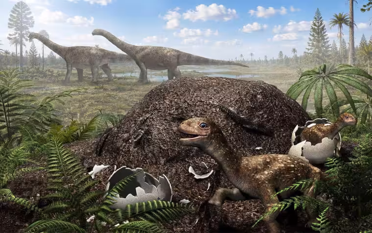 Patagonie vydala přes 250 úlomků dinosauřích skořápek